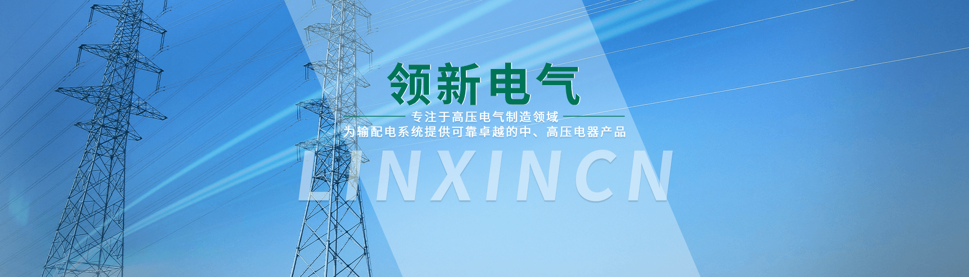 浙江領新電氣有限公司